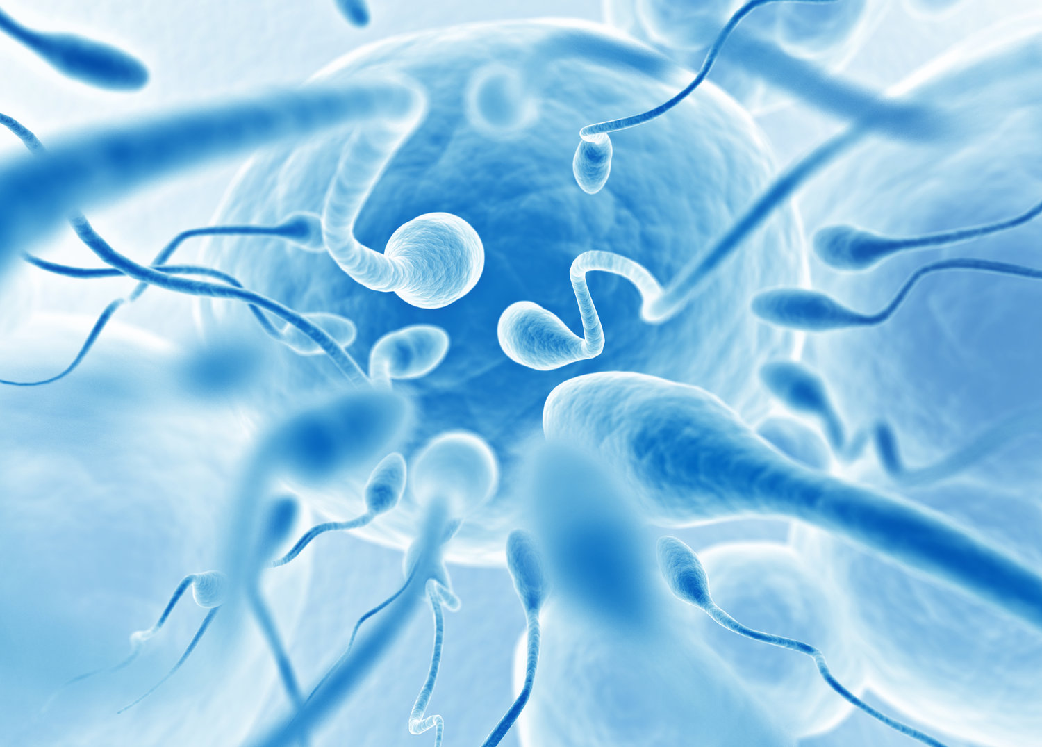 andrology-page